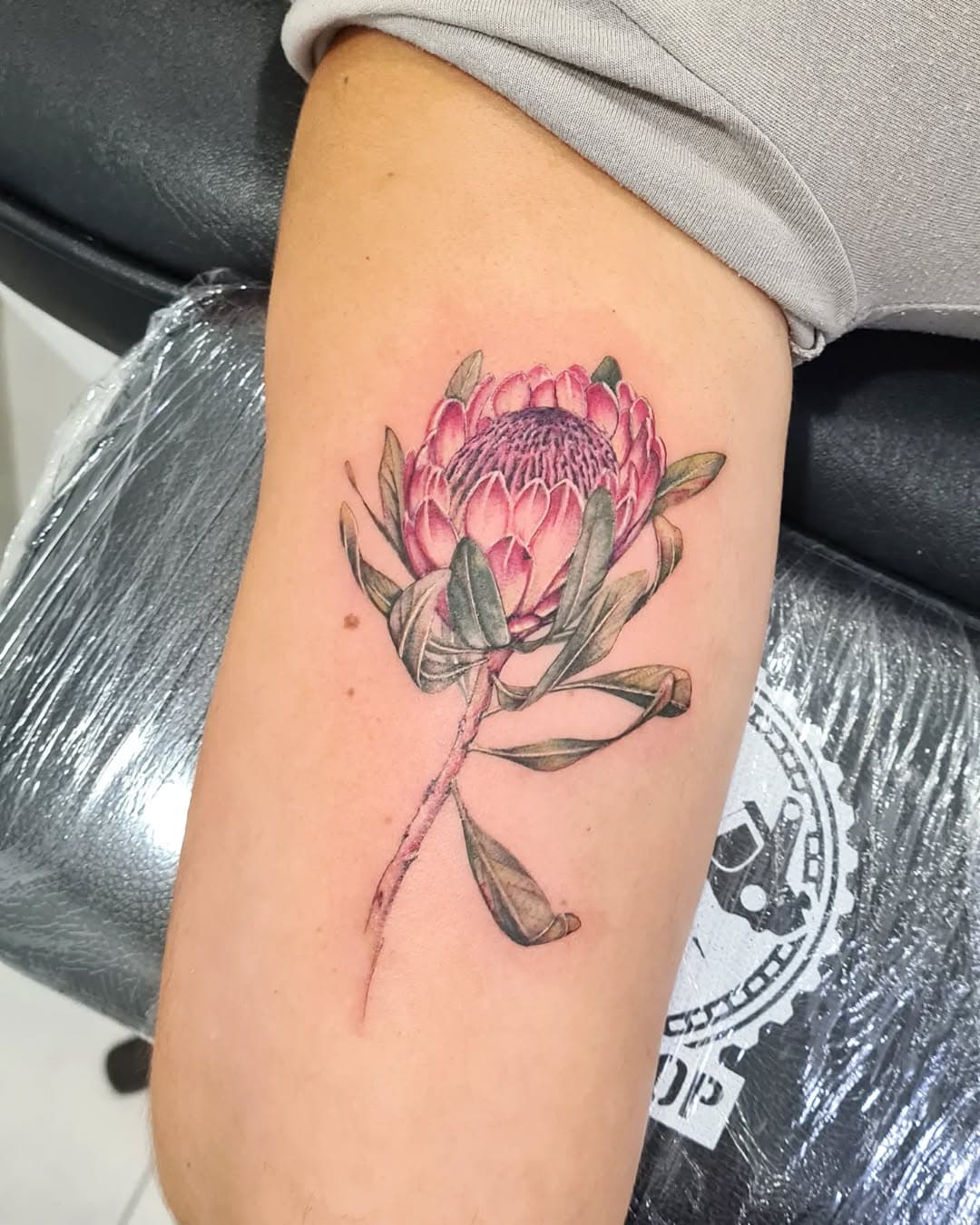 PROTEA🌷

Hecho por @anita_lipsink
. 
@balm_tattoo @tattooshop.es @fineline_tattoocartridges #finelinetattoo #linea #line #minimal #detalle #detail #lineworktattoo #art #tattoart #design #tattoo #tattoos #tattooed #art #ink #inked  #tattoospain #tattoostudio #lipsink #tatuaje #tatuajes #sansebastian #donostitattoo