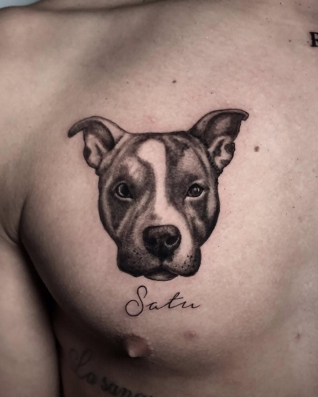 Satu🖤

Si tu también quieres tatuarte a tu mascota envíame un DM o Whatsapp ✨

#ink #tattoo #tatuajes #tatuaje #blackworktattoo #blackwork #realismo #tatuaggio #tatuagem #perro #perros #dog #doglover #animals #animallovers #draw #blackandgrey