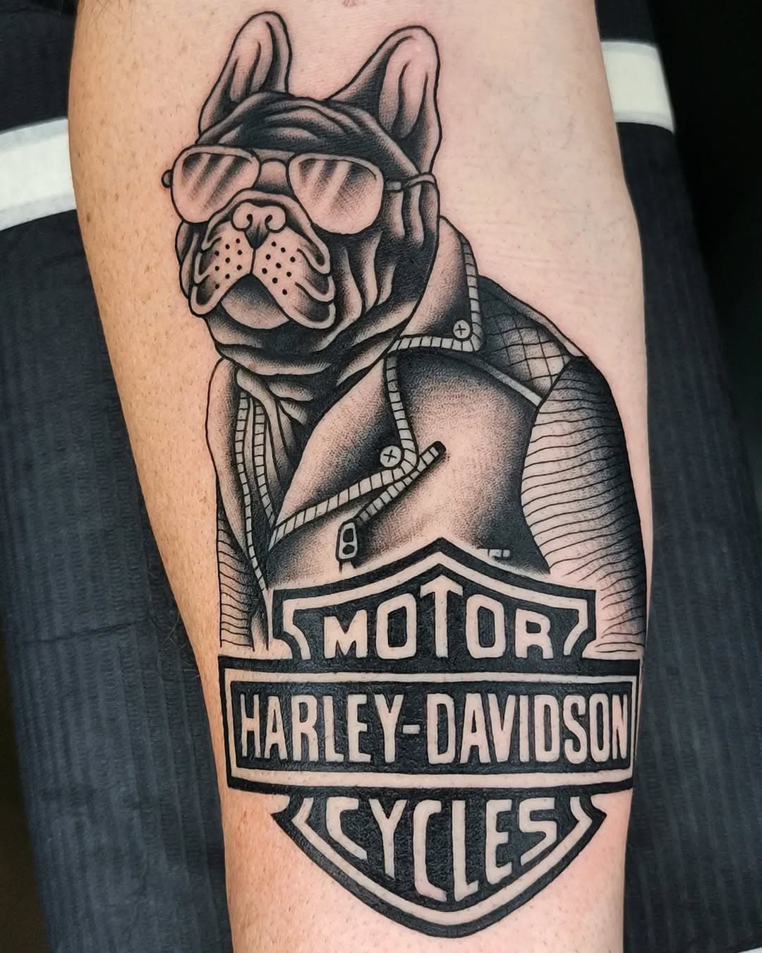 Tatuaggio eseguito da @king_stetattoo
Per prenotazioni 📲0131924901 oppure scrivici in DM 📩
#tattoo #harleydavidson #harleydavidsontattoo #traditionaltattoo #blacktraditional #blackworkerssubmission #oldschooltattoos #traditional #tradworkers #boldtattoos #traditional_flash