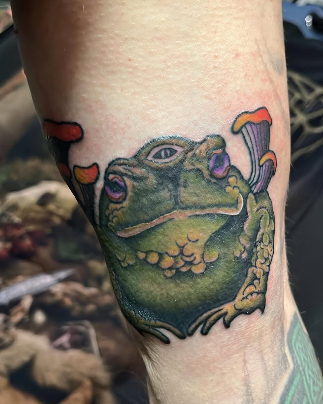 SONORAN DESERT TOAD 🐸🍄✨
#workinprogress #lastminute #experimental
Thanks for looking! 😘💖
SWIPE LEFT to see #wip 🤘
 
#sonorandeserttoad