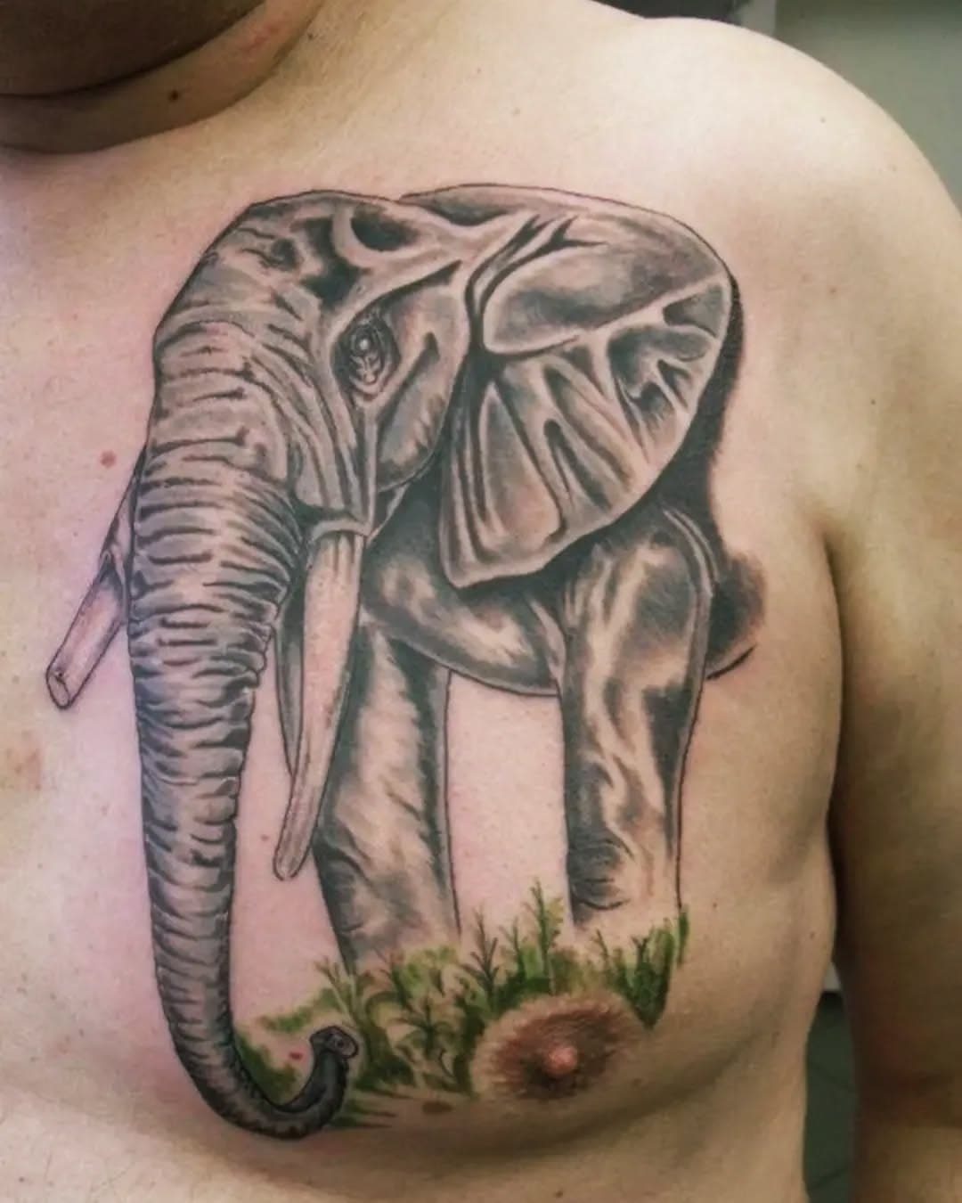 #handarbeit 
#tattooarm #tattoo2me #tattooart #tattoo #tattoos #tuedelmorstattoo #tattoart #tattooartist #tattooart #tattooinspirations #tattoostyle #tattooed  #tattooink #tattooshop #tattoostudio #tattoolovers #tattoodo #tattoomagazine  #badmünder #elephant #tiertattoo #elegant #elephanttattoo #hannover #hameln #hamburg  #tattooFlash #carpediem
