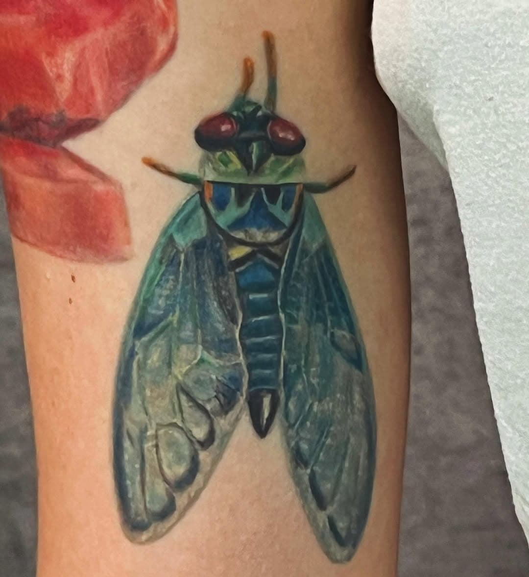 Cicada Watercolor tattoo by @jesseneese #cicadas #bug #bugtattoo #tattooartist #tattoo #tattoos #color #colortattoo #nuclearinktattoo #nuclearink #nuclearinkcustomtattoo #omaha