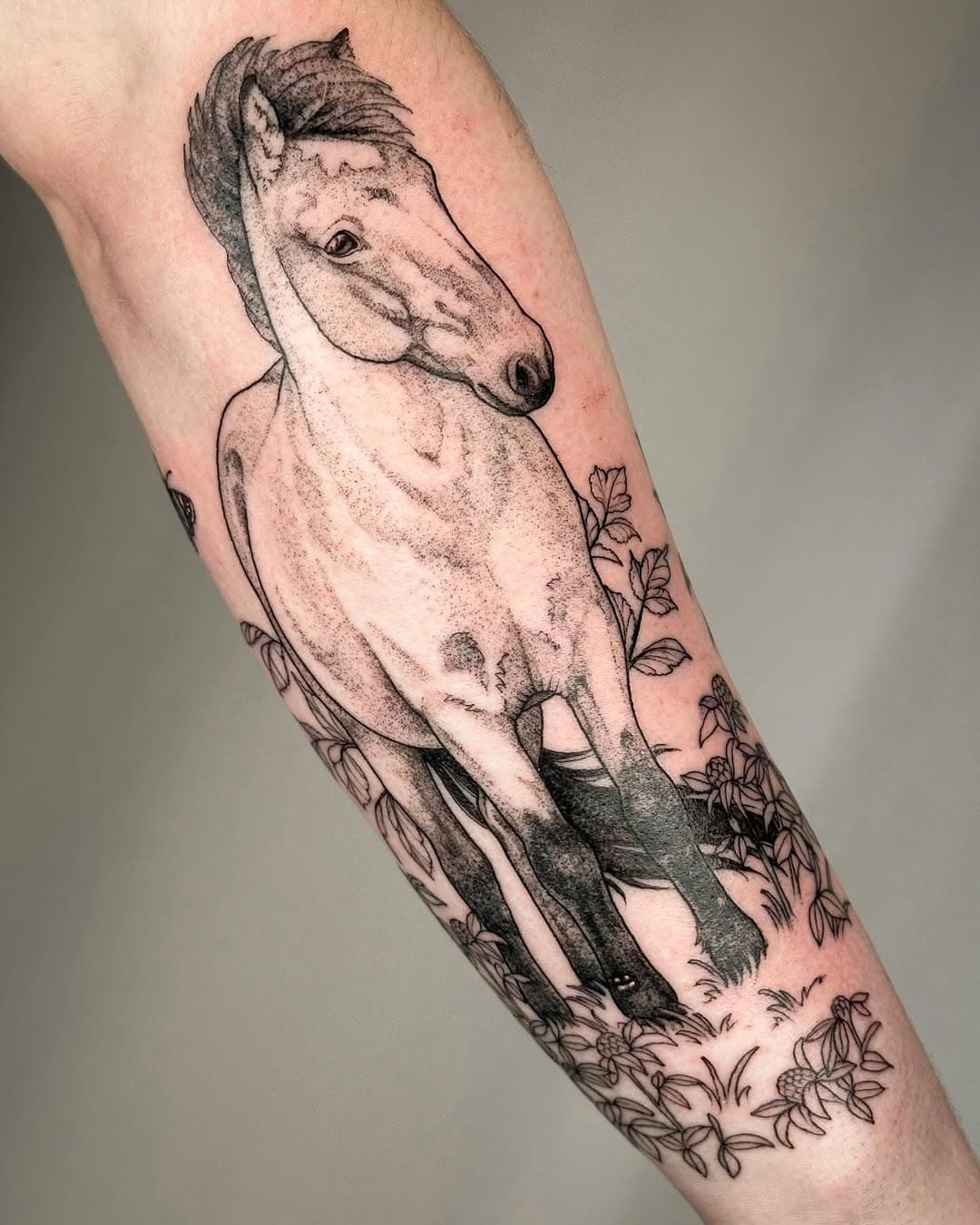 Heldige meg som fikk lage minnetatovering av fine Viður🫶🏻 
.
.
.
.
.
.
.
.
#horsetattoo #horse #horsepower #icelandichorse #islandshest #hesteliv #blackwork #blackworktattoo #animaltattoo #dyretatovering #dotworktattoo #animalportrait #horseportrait #trondheimtattoo #norwegiantattooers #fineline #illustrativeblackwork #femaletattooartist