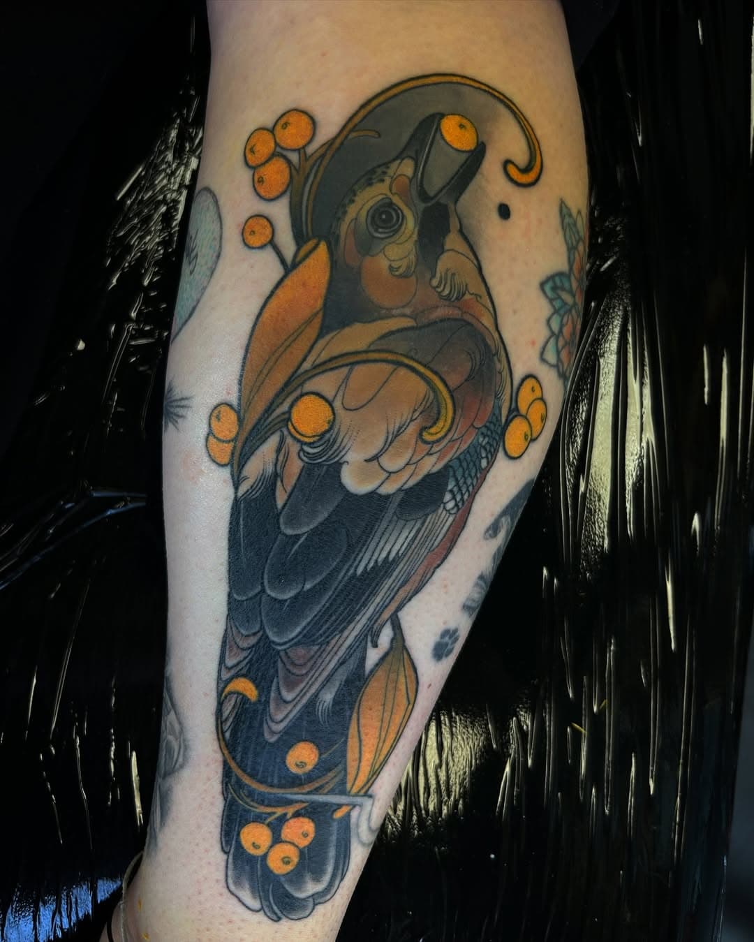 ❖EURASIAN•JAY•BIRD❖

Bird healed / leaves and berries fresh 

Sentimental Eurasian Jay for @lottiebooxo 
Was a pleasure to do this for you lottie, happy birthday to your grandad 🙏🏻✨

Birds are a firm favourite to tattoo so please request some cool birds!! 

@yayofamilia @starrtattoosupplies @dermagloink 

•••••••••••••••••••••••••••••••••••

#neotraditionaltattoo #neotraditional #neotrad #neotradtattoo #neotradstyle #tattoo #tattooer #newtrad #newtraditional #neotraditionalist #neotraditionaltattooer #joshjefferytattooer #tattooartistmag #neotradworldwide #neotradeu #skinart #tattooworkers #ntgallery #neotraditionalworldwide #taot #tattooworkers #tattoo #tattooers ❖ ❖ ❖ #thenewtraditionalists #neoclassictattoo