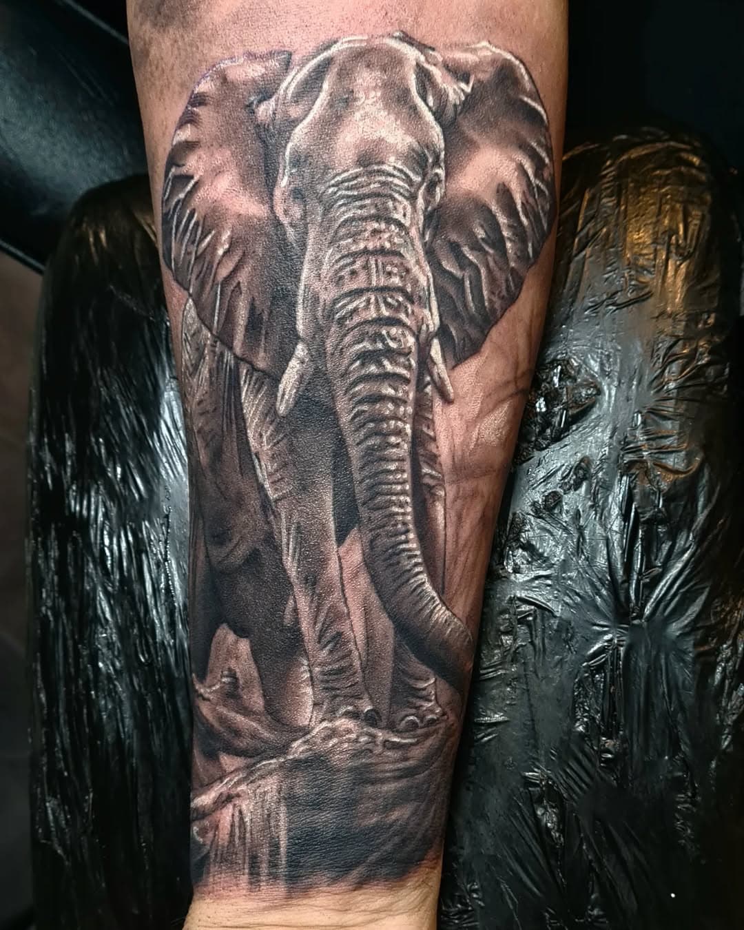 A wee heffalump to get the first part of Brians arm started

#elephant #elephanttattoo #elephanttattoos #blackandgreyelephants #elephanttattooideas #blackandgreyelephanttattoo #bng #bngrealism #bngink #blackandgreyrealism #blackandgreyink #blackandgreytattoo #blackandgreytattoos #blackandgreytattooartist #ink #inked #tat #tattoo #tattoos #tattooink #tattooist #tattooartist #dynamicblackink #dynamictripleblack #starbritewhiteink