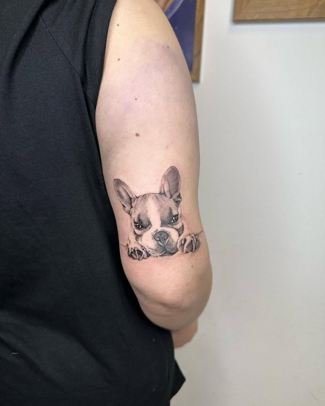 PIPO 🍃
Gracias Sofia !!! 
#tattoo #gracias #bulldog #bulldogsofinstagram #bulldogtattoo #bulldoglove #buldosfrances #frenchie #frenchbulldog #frenchiesofinstagram #frenchiepuppy #asturias #asturiastattoo #asturiasink