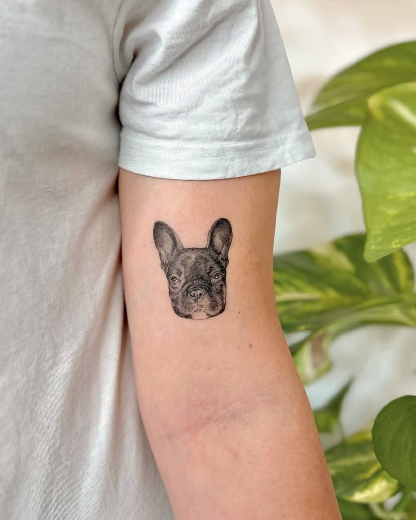 ¿También es el más mimado de vuestra casa?
Microrealismo ✨curado✨ de esta preciosidad💖

#tattoobarcelona #tattoomascota #microrealismotattoo #tatuajespequeños