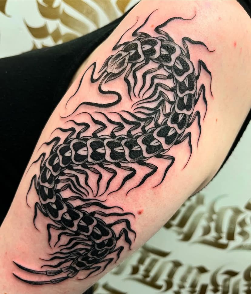 Done on @vigment_genic, using @elgatonegrotatt @valknutrotary #centipede #centipedetattoo #blacktattoo #blackwork #porvida #tattoo #tattoos #stockport #edgeley #manchester #stencilstuff #hondnaai #yamilab #elgatonegrotattoocare #ink #tattoostyle #saviourtattoosupplies #pennyblacktattoobutter #ink #tattooartist #tatuajes #tattooing #vuilhond #uktta #blacktraditional #booksneverclosed #valknutrotary