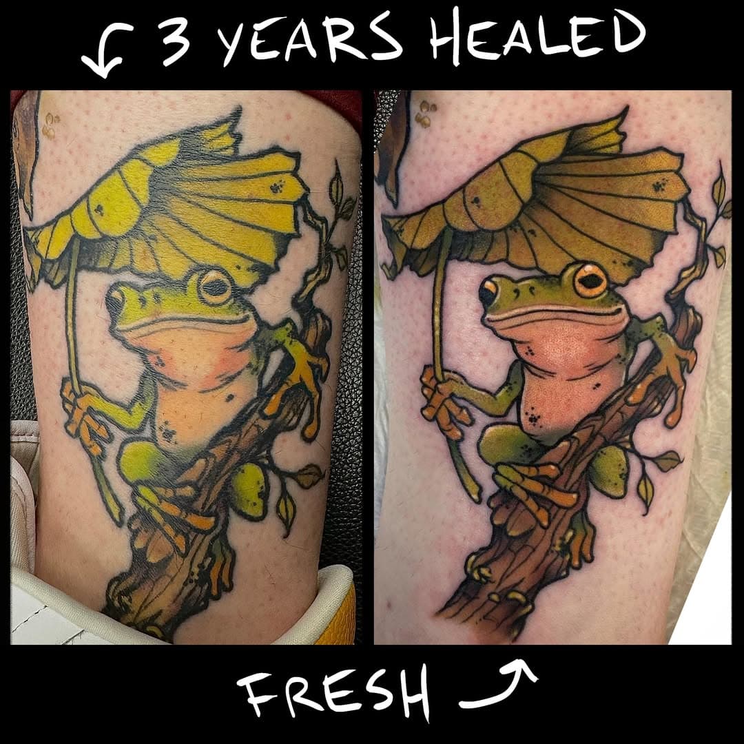 Healed vs fresh

#tattoohealing #healedtattoo #frogtattoo #frogandumbrella #illustrativetattoo