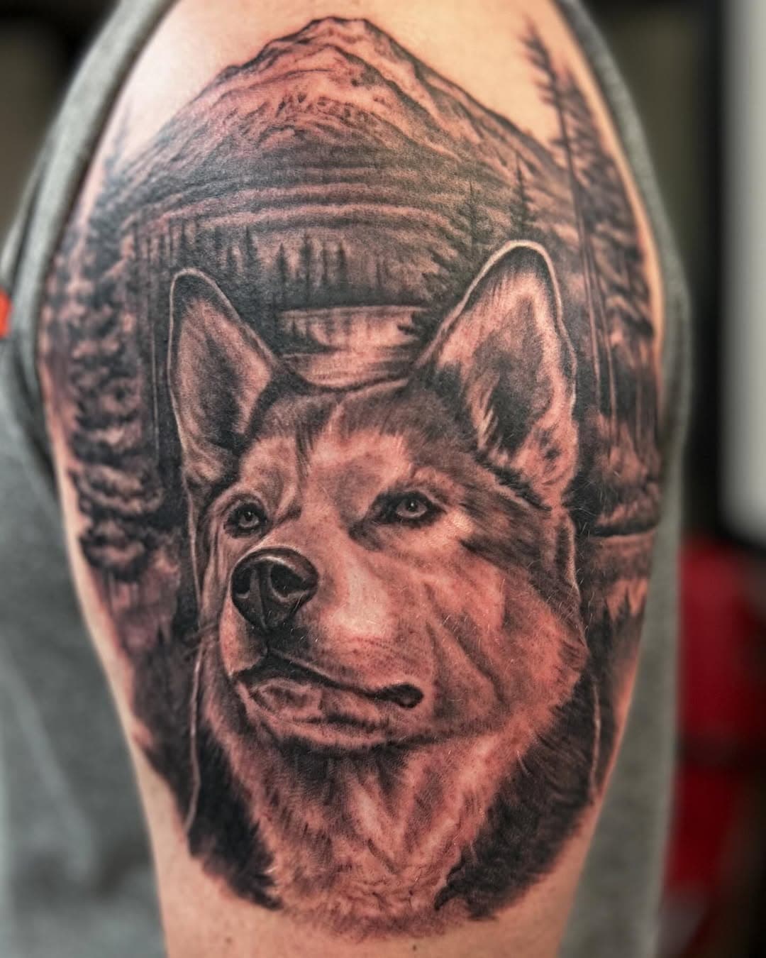 Full day session of my clients husky and the mountain in the back is  #mthood . Swipe for video. To make  appointments dm or text me . #tattoos #husky#blackandgreytattoogallery