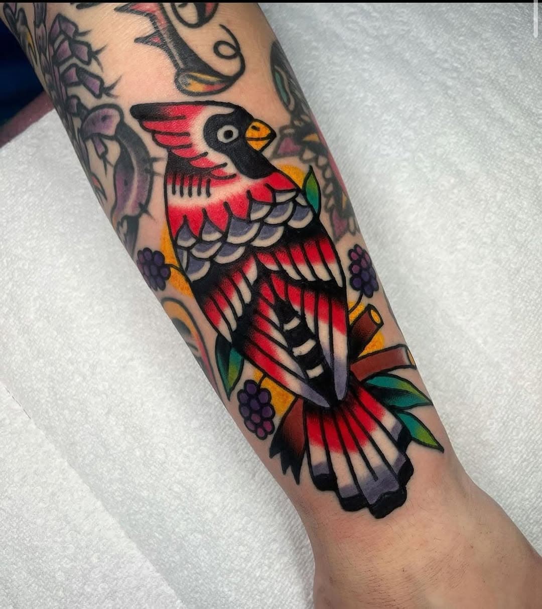 Bird is the word @julianeelyislame #tattoo #cardinal #birdlovers #tattooer #gettattooed #traditionaltattoo #colortattoo