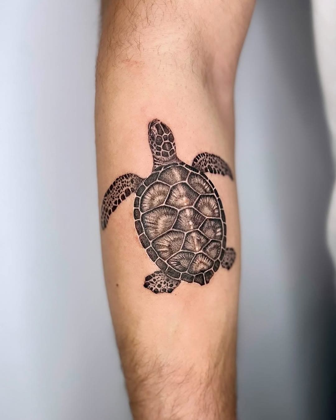 Little sea turtle on the arm for Kris🐢✨ I love projects like this, keep em coming! Done at @fempiretattoostudio 🩷 
•
•
•
•
#seaturtle #seaturtletattoo #turtle #turtletattoo #tattoo #tattoostyle #tattooing #tattooart #tattooideas #tattoos #microrealism #microrealismtattoo #realism #realismtattoo #singleneedle #tat #tattooartist #tattooist #animaltattoo