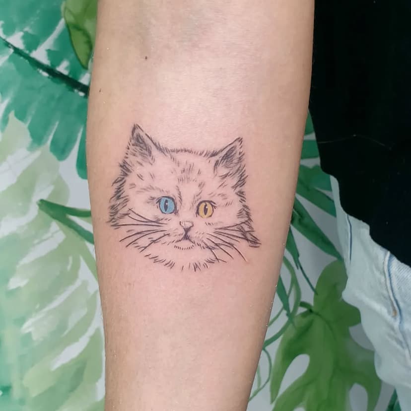 Tatuaje de 𝗚𝗮𝘁𝗼 🐱 con unos preciosos ojos, uno de cada color, que realzaban más su belleza especial.

Gracias @ursulapanadero por la confianza siempre para tatuajes tan bonitos 🤍

#mabtattoostudio #tattoo #tatuaje #tatuajesfinos #finelinetattoo  #gato #mascotas #tatuajesconamor 
#logroño #larioja #spaintattoo