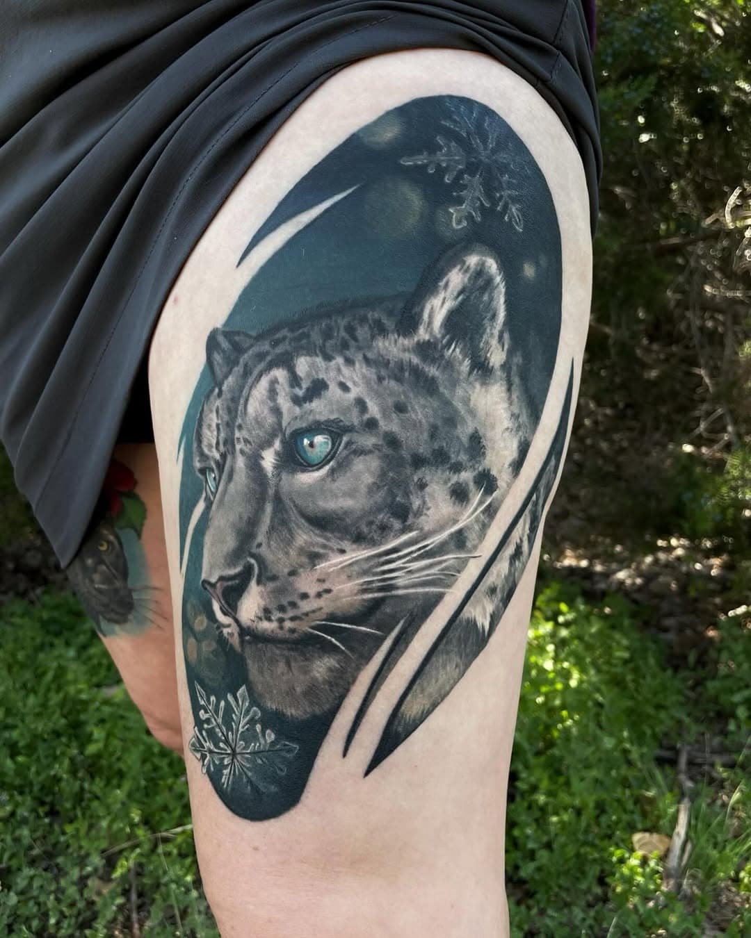 Healed snow leopard I tattooed last year
❄️🐆