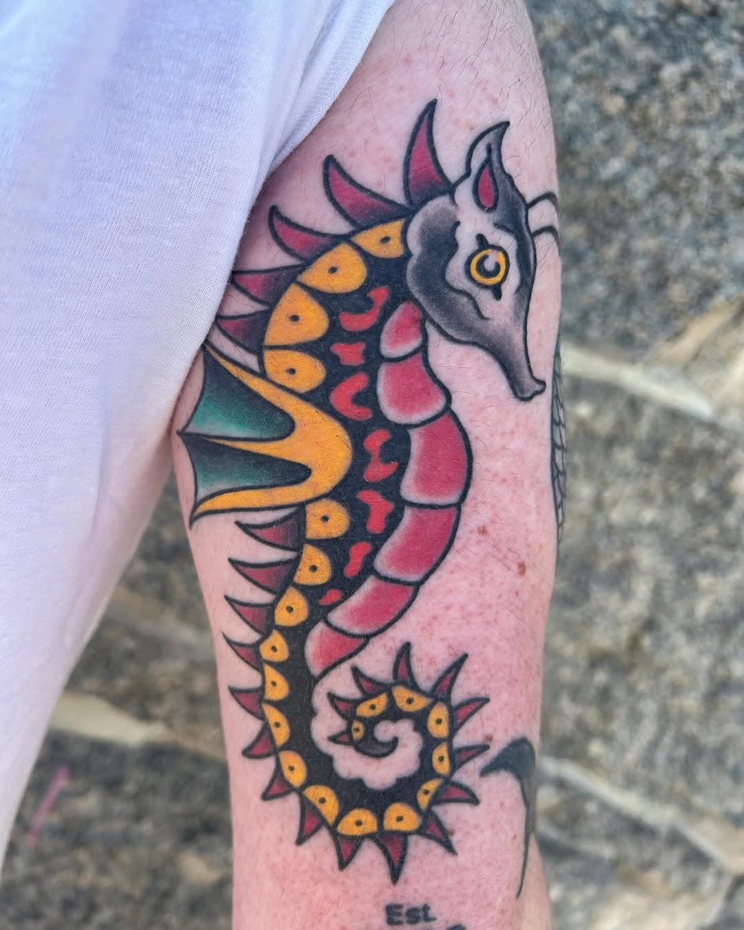 Some recent work by @matt_rinks_ghosttown on Brian. For appointments email ghosttownec@gmail.com 

#tattoos #traditionaltattoo #americantraditional #ghosttown #colortattoo #marylandtattoo #oldellicottcity #seahorse #mermaid #oldschooltattoo #tattooshop #tattooartist