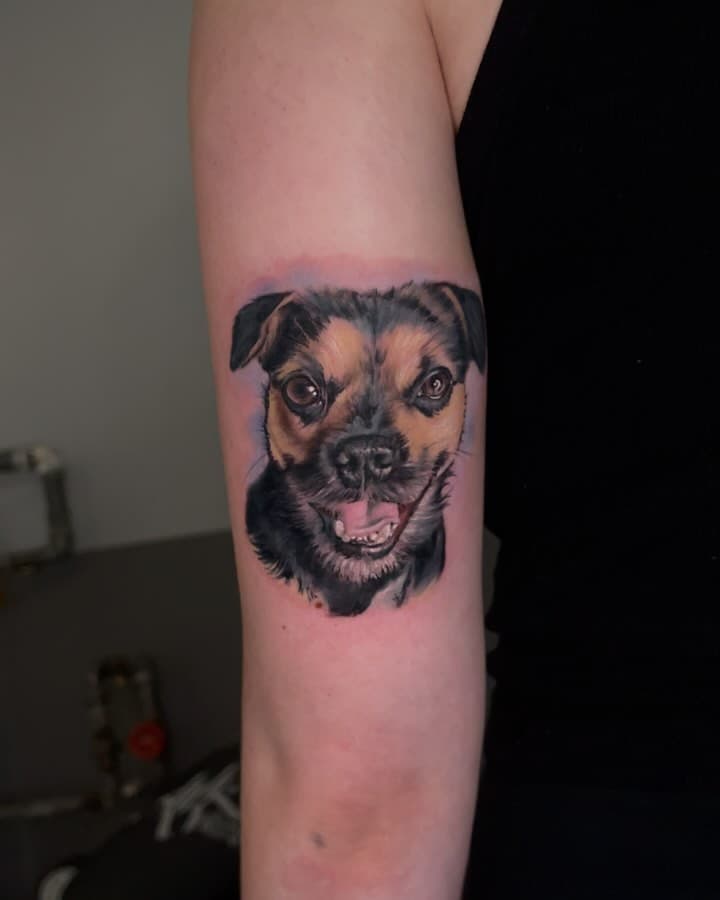 Nelly 🫶 #alektattoo #aleksting #dogtattoo #doglover #puppy #colortattoo #realistictattoo #farbe #bunt #armtattoo #nürnberg #fürth #tattoonürnberg #tattoofürth