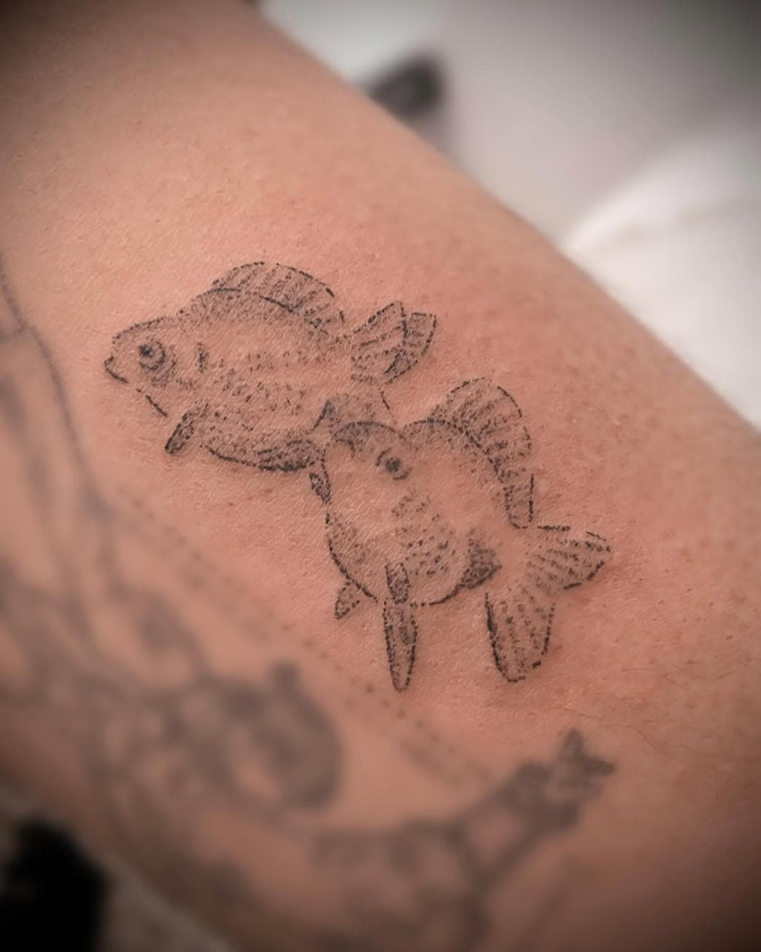 Dos pececitos para Maricielo 🐠🐠

📍Hecho en @feos_poblenou 

#handpoketattoo #stickandpoke #minimaltattoo #tatuatge #tatuajessinmaquina #finelinetattoo #barcelonatattoo #mataró #granollerscentre