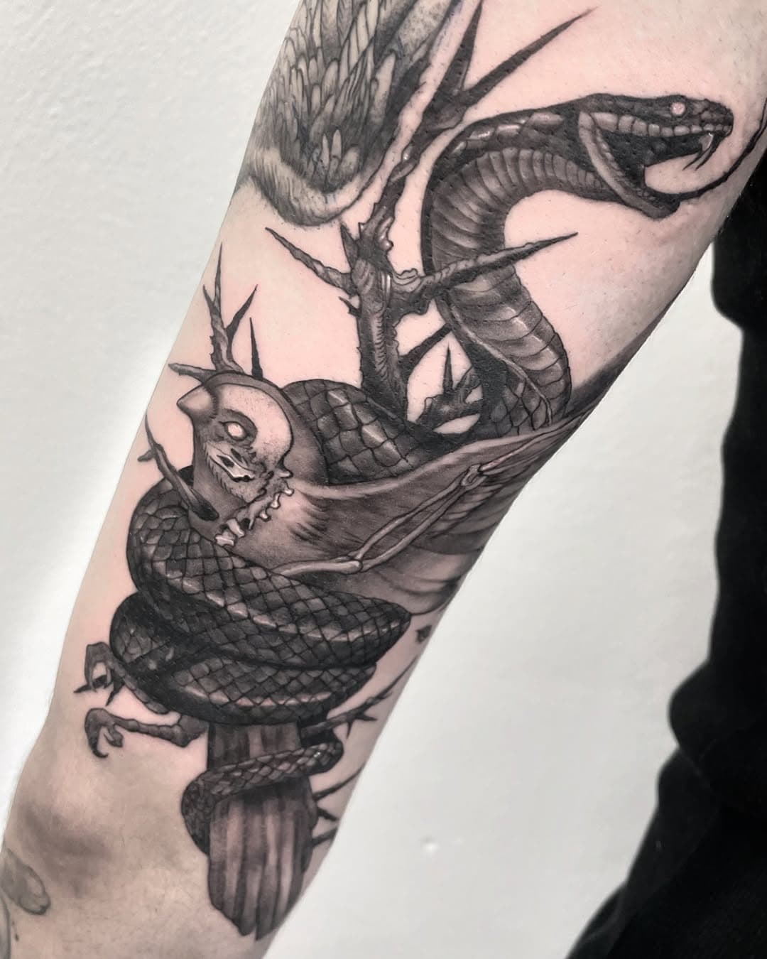 Y de nuevo gracias @by_henrymg por dejarme libertad en el diseño y por TODO! 🐦‍⬛🐍

#blackworktattoo #blackworkers #dark #darkart #onlythedarkest #tattoosp #tattoo_spain #birdtattoo #snaketattoo #albacetetattooink