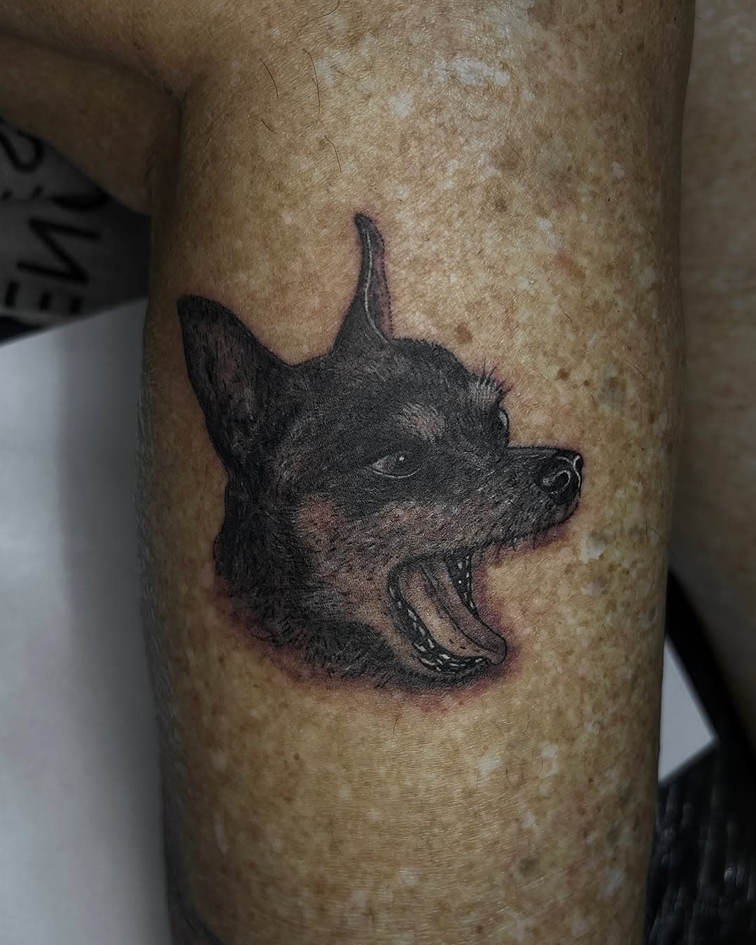 Hoje foi dia de tatuar o Zyah na @ingrid_dreier 🐶💖
Trabalho realizado no @magnatatattoo 
Orçamentos por dm 
#portoalegre #tattoopet #tattoopinscher #tatuagem