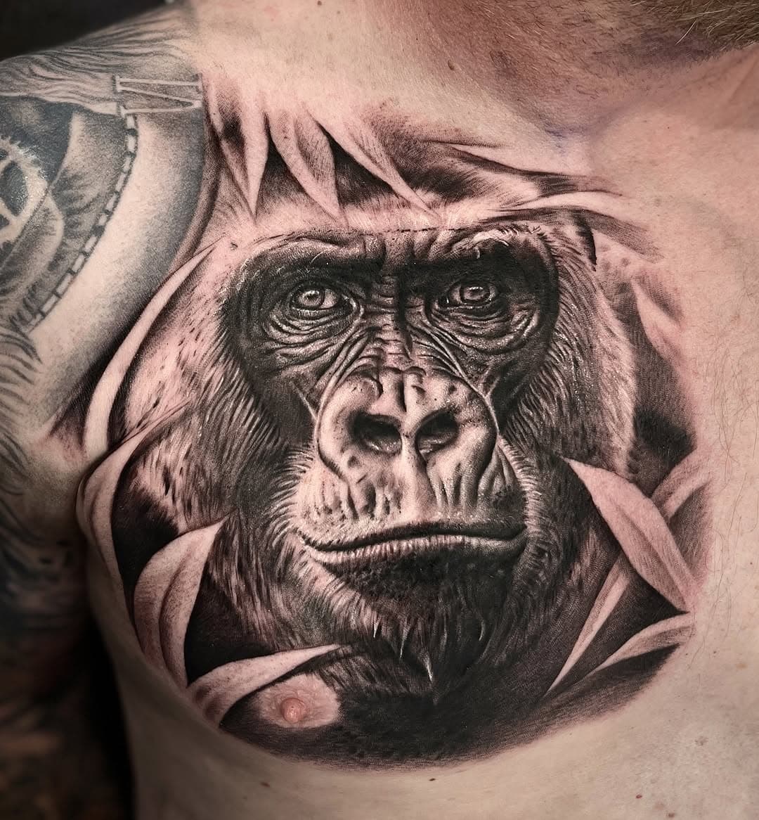 Gorilla chest piece I did today on Wayne 🦍🍃

Sponsored by @yayofamilia 

#gorillatattoos #gorilla #wildlife #wildlifetattoos #boackandgreytattoos #realistictattoos #portrait #portraitartist #inked #tattooartistmagazine #inked #inkedmag