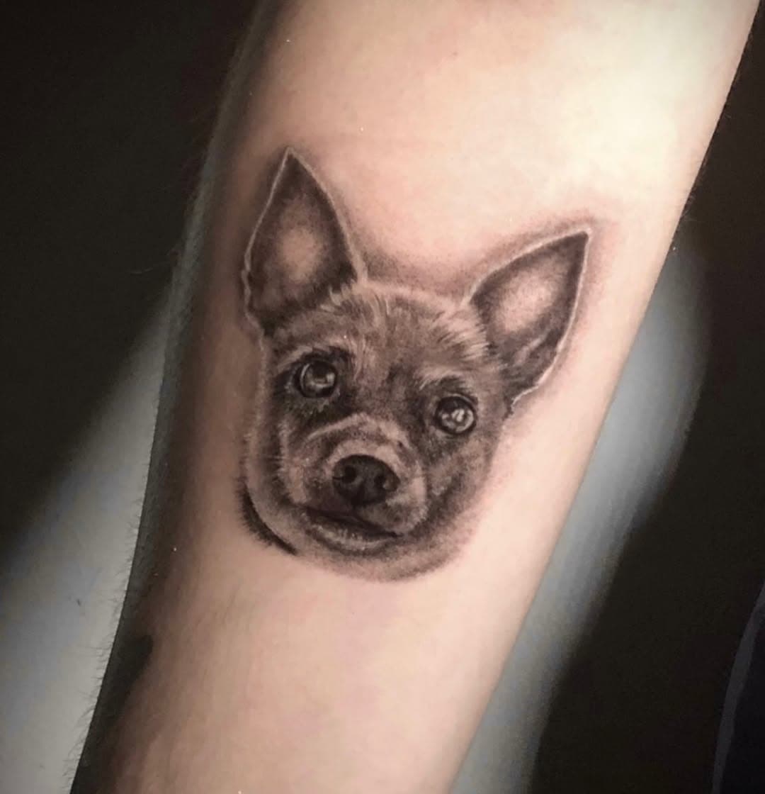 Chula🐾

Me encantaría hacer más mascotas, estaré haciendo precio especial para este tipo de tatuajes ✨

#ink #inktattoo #tattoo #art #animal #dog #tatuaje