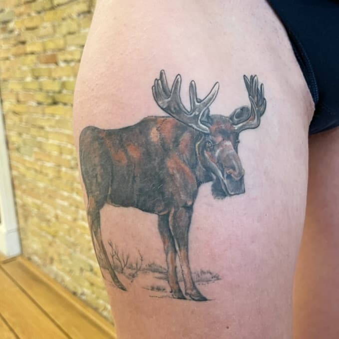 Moose for Saskia 🫎 thanks! 🤘
.
.
.
#tattooblitzz #blitzz #tattooblitzzgroningen #tattoogroningen #tattoo #tattoospiration #dutchtattoo #groningentattoo #tattooink #tattooofinstagram #tattooartist #tattooart #moose #moosetattoo #colortattoo