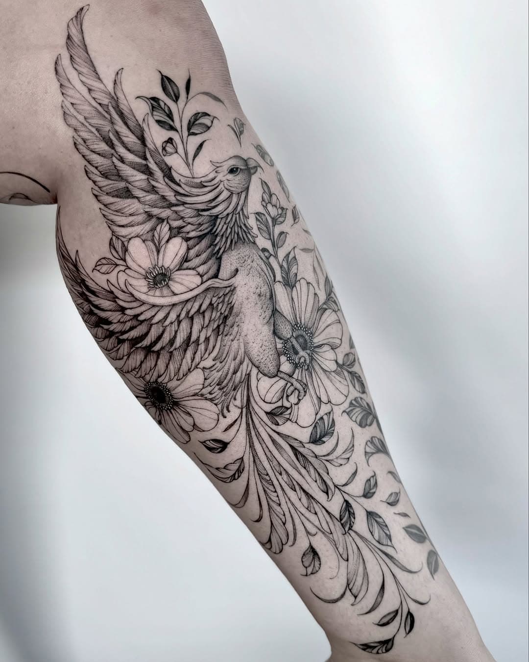 Freehand Pheonix 🔥
Half healed/ half fresh 
My new favorites piece on Natalie’s leg sleeve!

Waitlist opening at the end of this month! Stay tuned for details! 

#sandiegotattooartist #sandiegotattoo #finelinetattoo #floraltattooartist #pheonixtattoo #pheonix #beautyforashes #risefromtheashes #flowertattoo #sdtattoo #sandiegotattooshop #nashvilletattoo #tennesseetattoo #guestartist #guestspottattoo #traveltattooartist #legtattoo #californiatattooartist #femaletattooartist #emalla #fkirons #sandiego