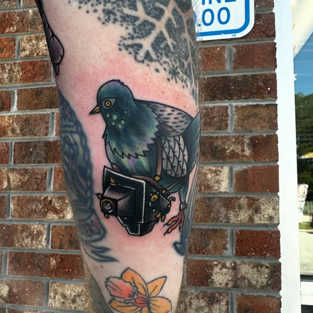 Here’s a couple bangers from a few weeks ago. @honorandglorytattoonc #birdsarentreal #traditionaltattoo #colortattoo #jacksonvillenc