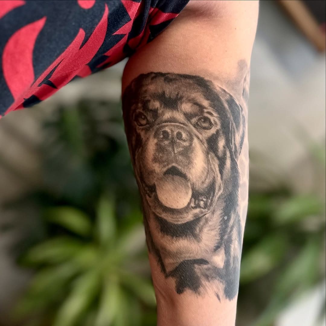 6 years healed for this rotty!

To book a tattoo or a free consultation at Laneways please contact us on:
Bookings@lanewaystattoo.com

Made with @kwadron
Stencils by @stencil.jam
Premium aftercare @afterart.newzealand 

#Tattoo #Nztattoo