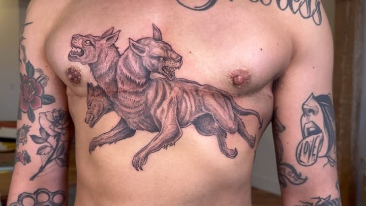 Cerberus, Greek mythology three headed dog, hound of Hades 

#brooklyntattooartists #nyc #nyctattoo #nyctattooartist #dumbotattoo #dumbotattooartist #dmvtattoo #dctattoo #mdtattooartist #greekmythology #greekmythologytattoo #cerberustattoo #cerberus #chesttattoo #fronttattoo #houndofhades #scarcoverup #scarcoveruptatttoo #dotworktattoo