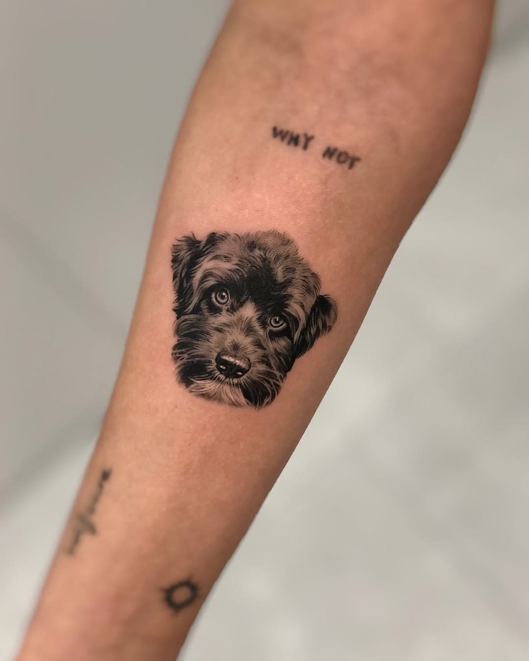 Perrito bonito para Laura.
Mil gracias por confiarme a vuestros peluditos, me encanta hacerlos!

🕌 En @estudiotrece.vigo 
•
•
•
# microrealismo #dogtattoo #realistictattoo #vigotattoo #galiciatattoo