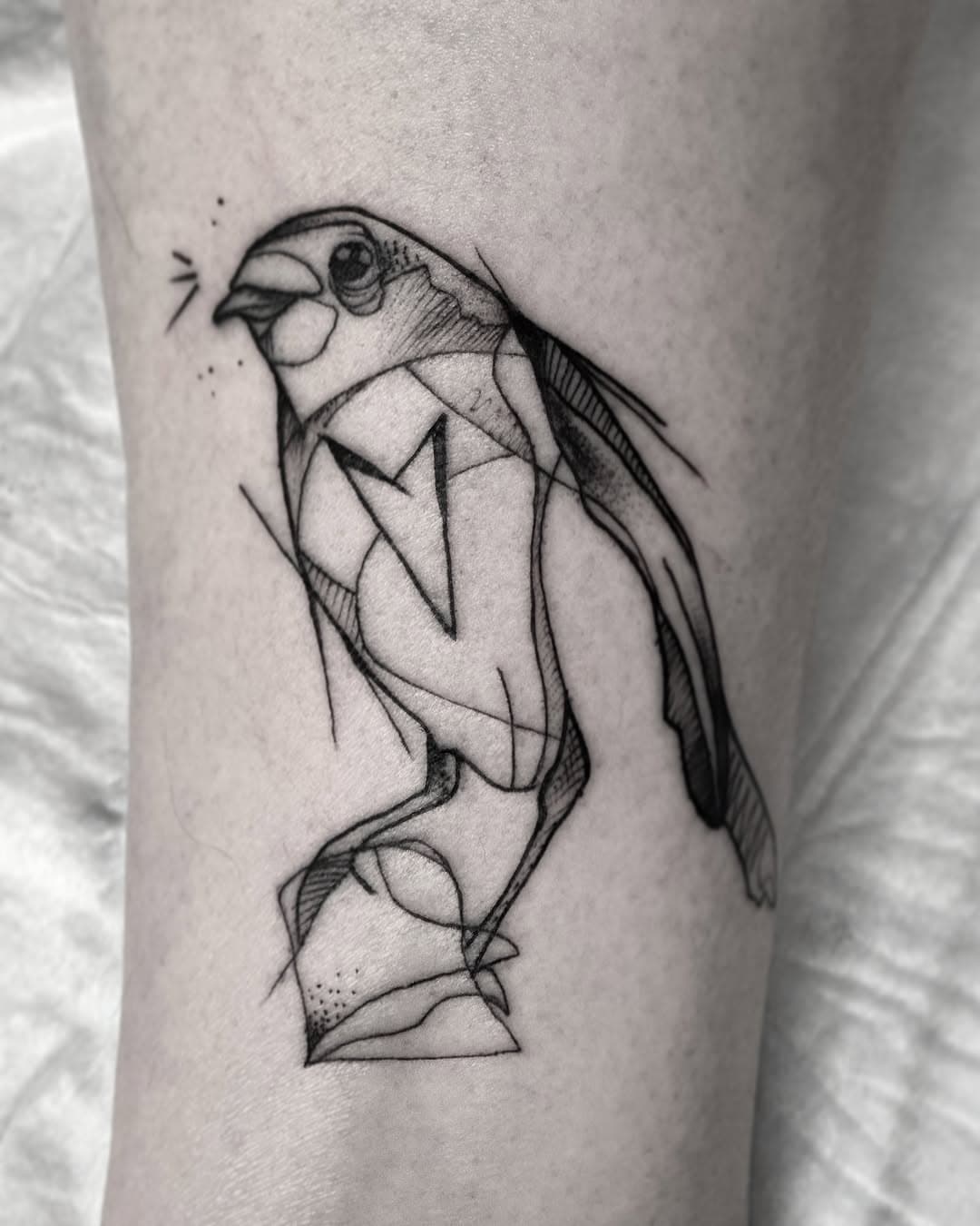 Love Bird aus der Wunschküche. Freie Herbsttermine.

#tattoo#legtattoo#birdtattoo#hausmannskosttattoo