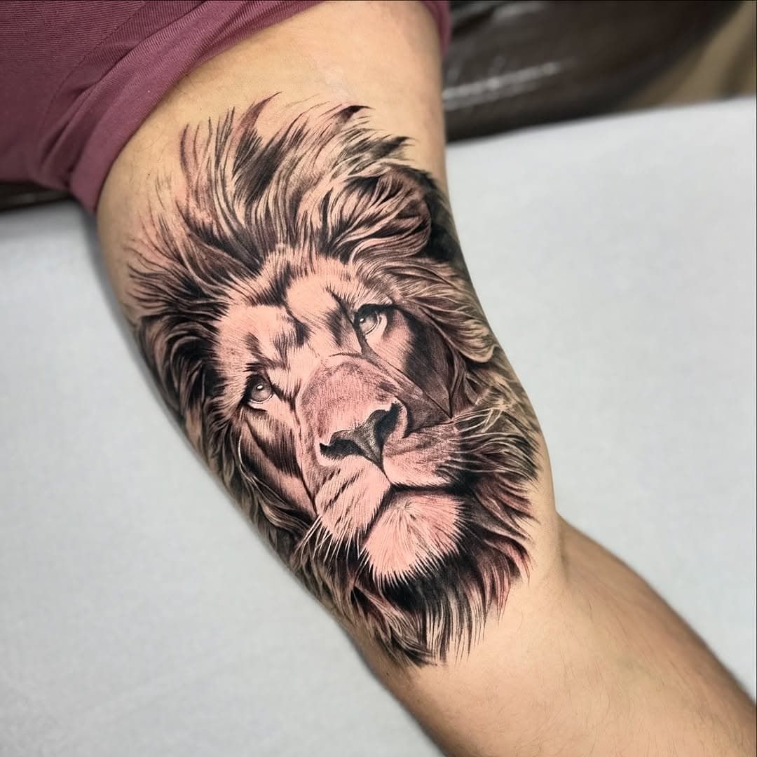 Lion Tattoo 

@velhaamigatattoo 

#tatuagem #lion #liontattoo #ipatinga #realism #tattoo