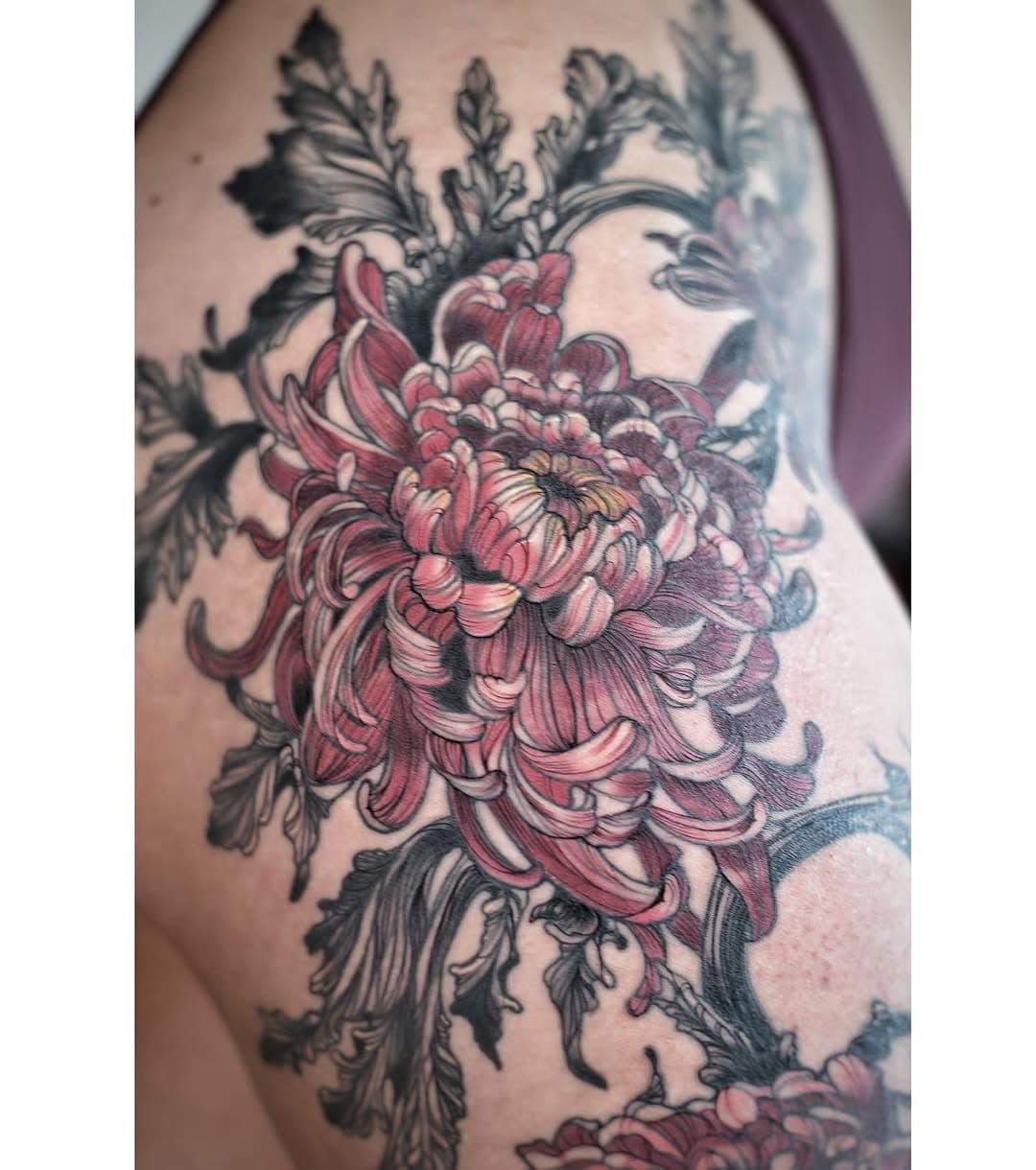 Chrysanthemums! On the thigh 🌸

.
.
.
.
#pinkchrysanthemumstattoo #pinkchrysanthemumtattoos #pinkchrysanthemumstattoos #chrysanthemumstattoo #chrysanthemumstattoos #chrysanthemumtattoo #chrysanthemumtattooart