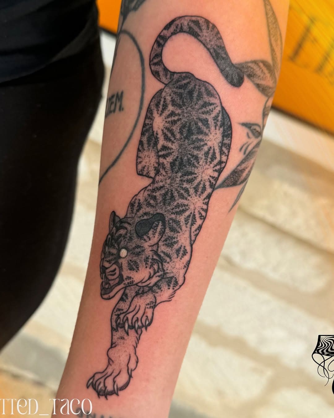Kitty cat 🐯
•
Booking in New Braunfels, Texas 
•
Artist: @tatted_taco 
Studio: @tatted_dream 

Made using:
@bishoprotary 
@pantheraink 
@hustlebutterdeluxe 
@kwadron 
@recoveryaftercare 
@mdwipeoutz 
•
•
•
#tattoo #Texastattooartist #GeometricTattoo #ColorTattoo #Neotraditional #geometrica #art #NewBraunfels #SanMarcos #Texas #Sanantonio #floridatattoo #delraybeach #Schertz #kyle #texas #Austin #Sanantonio #GeoTattoo #ink #blackandgreytattoo #realistictattoo #tattedtaco #backtattoo #traditionaltattoo