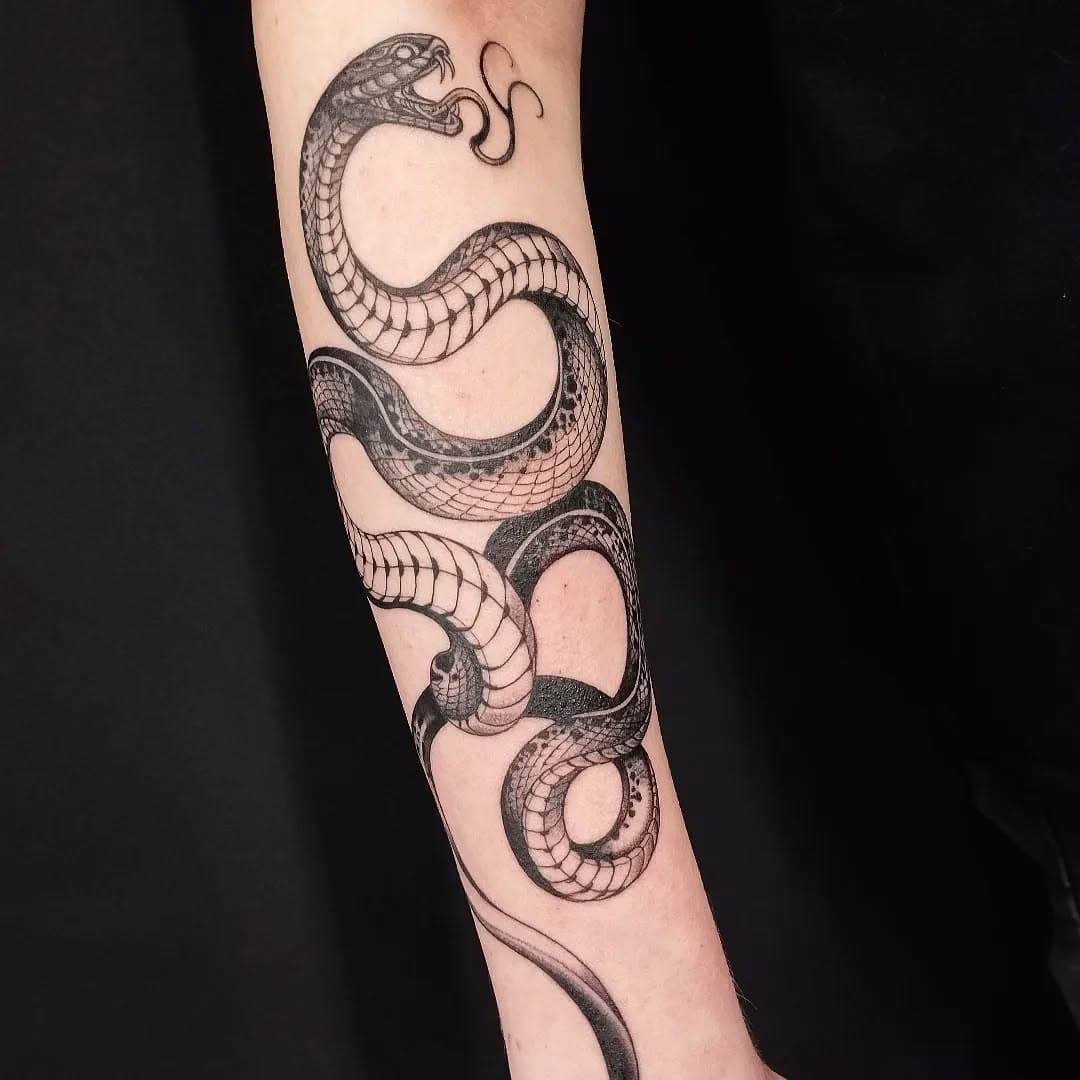 Вот такая змея из интернета. 
#tattoo #tattooinmoscow #tattoer #blackandgreytattoo #snaketattoo #татумосква #тату #татузмея #змея #чернобелаятату #графикатату