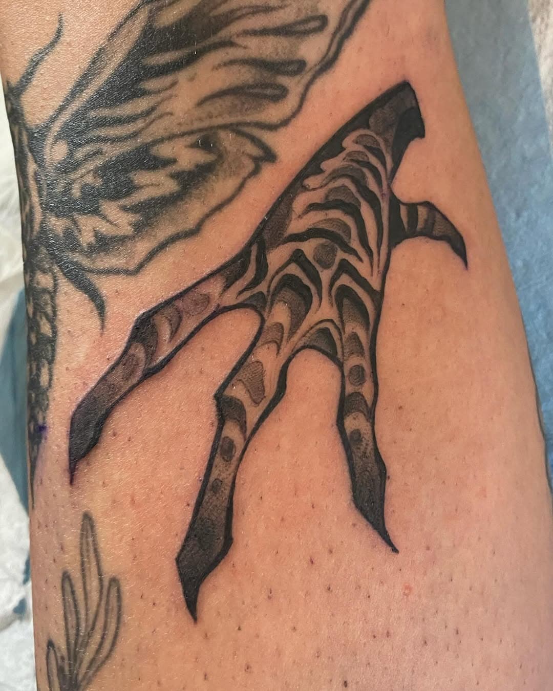 Some mirrored heron claws for J, thanks!

#yqrink 
#yqrtattoos
#tattoos