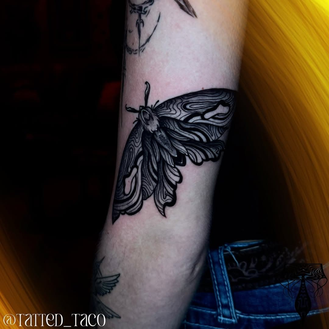 Moths are cool on Wednesdays 👐
•
Booking in New Braunfels, Texas 
•
Artist: @tatted_taco 
Studio: @tatted_dream 

Made using:
@bishoprotary 
@pantheraink 
@hustlebutterdeluxe 
@kwadron 
@recoveryaftercare 
@mdwipeoutz 
•
•
•
#tattoo #Texastattooartist #GeometricTattoo #ColorTattoo #Neotraditional #geometrica #art #NewBraunfels #SanMarcos #Texas #Sanantonio #floridatattoo #delraybeach #Schertz #kyle #texas #Austin #Sanantonio #GeoTattoo #ink #blackandgreytattoo #realistictattoo #tattedtaco #backtattoo #traditionaltattoo