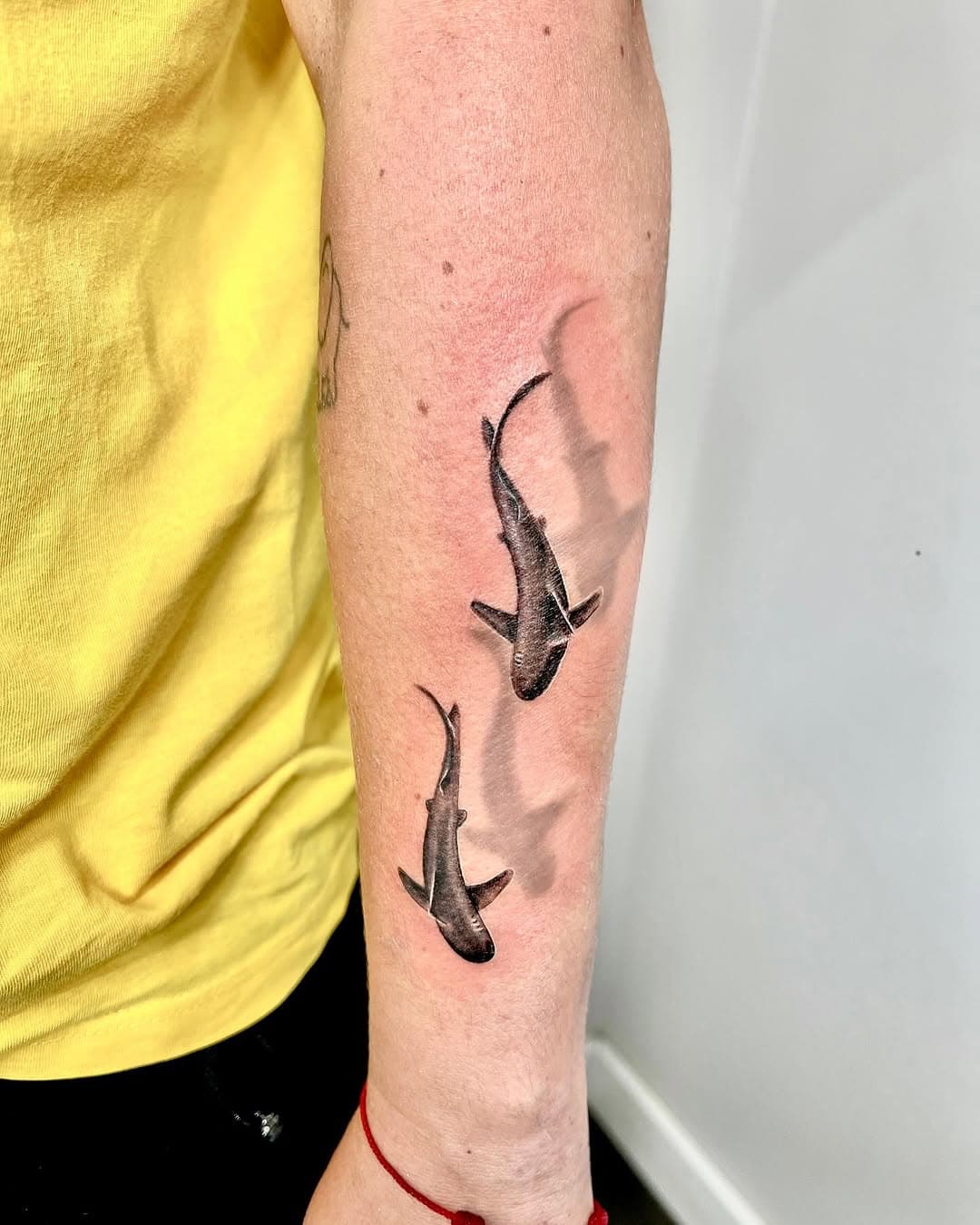 Tiburones en  microrealismo!Muchas gracias por dejarme hacer estos trabajos!🫶C/Luis de Góngora 4 ,Madrid,Chueca 📍#tattoochueca#microrealism #inkchueca #chueca #madrid #tattoomadrid #tattoo #ink #tattooink #ninotattooestudio #tattoolife #tattoinsta #tattooeds #tats #inkman#tattoos #tattoostyle #realistictattoo #inkedgirl #ink #tattooartist #blackandgrey #mariposatattoo