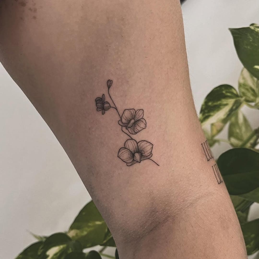 dumpzinho de algumas das minimalistas de agosto, setembro e outubro porque eu sou low profile mas as tattoos tão rolando no off 😂💚✨ link na bio pra orçamentos ou garantir sua vaga da promoção de mini tattoos 🔗