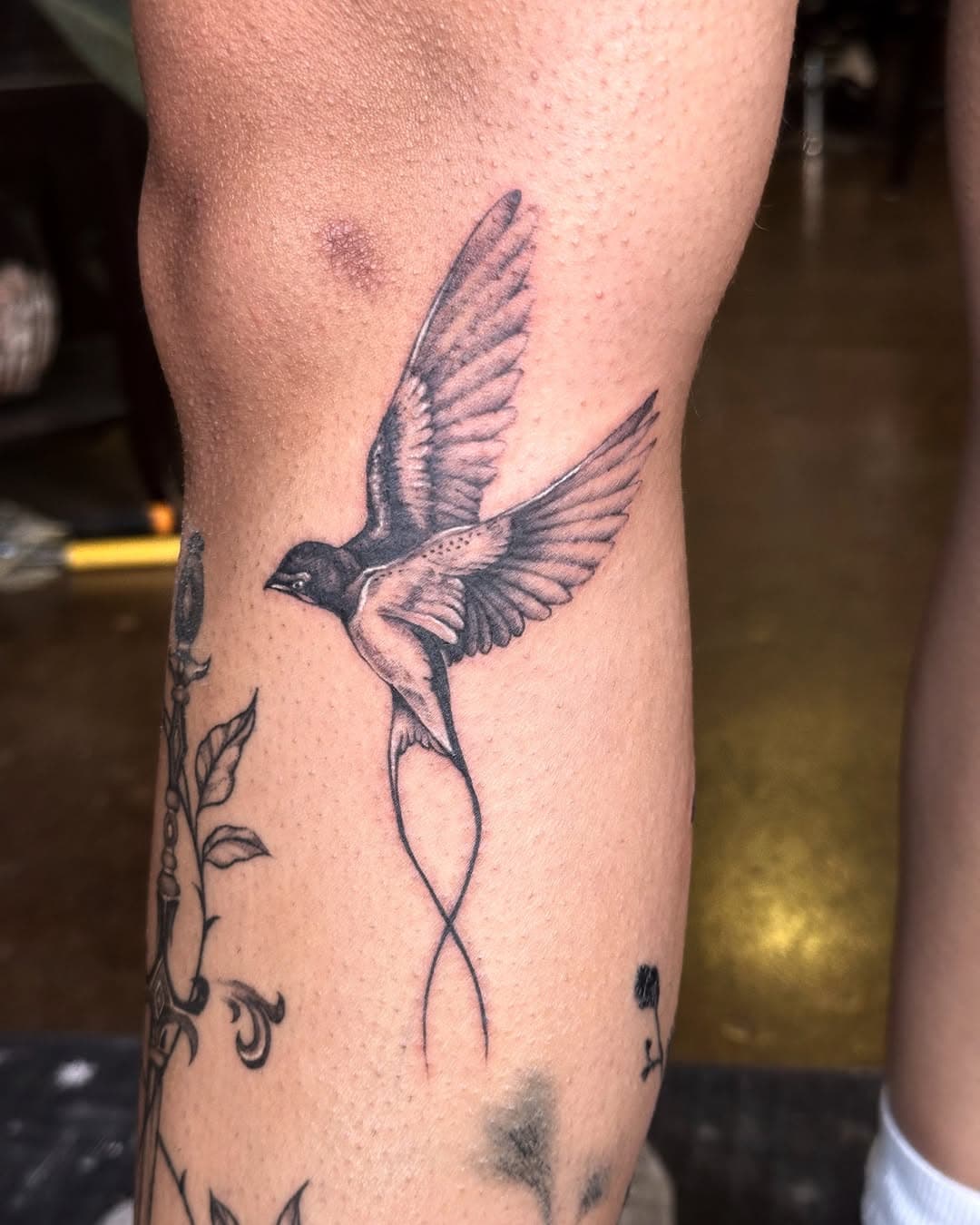 Black and Grey birds by @brittle.bonez 

#blackandgreytattoo #birdstattoo #swallowtattoo #downtownroanoke #maidenandcrowtattoo