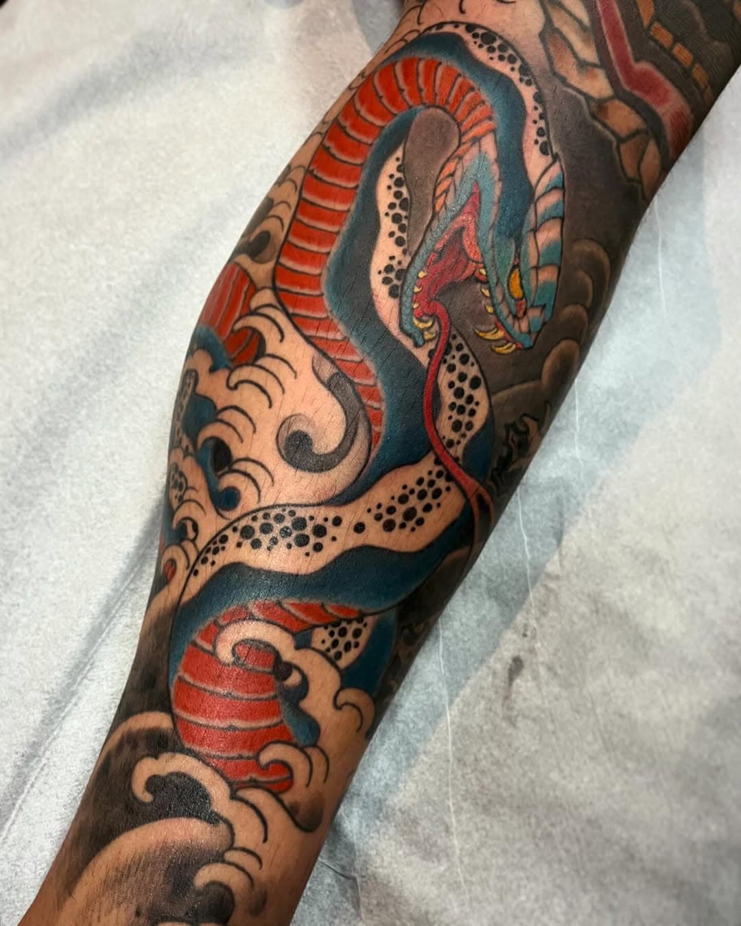 Dando continuidade no fechamento do brother Henrique…..
Valew é nois !!!!
.
@ironworksbrasil 
.
#traditional #tattoo #oriental #hebi #serpente #juliocubano #horistones #dontbelievethehype #craudinhagem