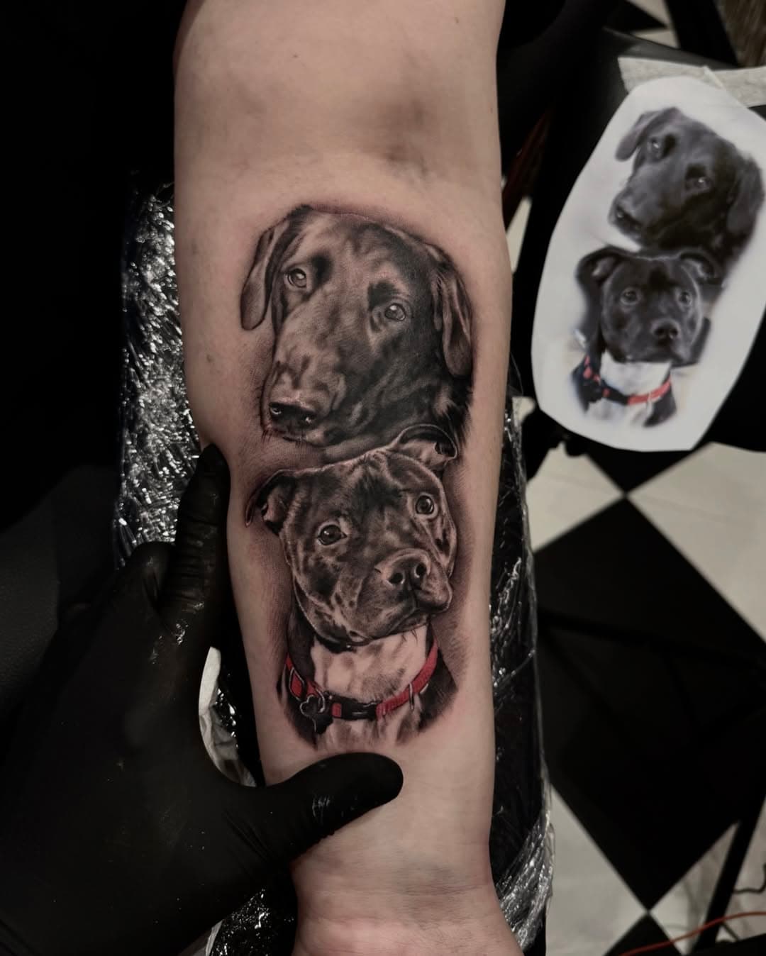 Micro portraits done today of my clients dogs 🐾🤏🏼

Sponsored by @yayofamilia 

#microtattoos #tinytattoos #inked #dogportrait #dogtattoos #inked #tattooartist #uktattooer #microportrait #tattoos