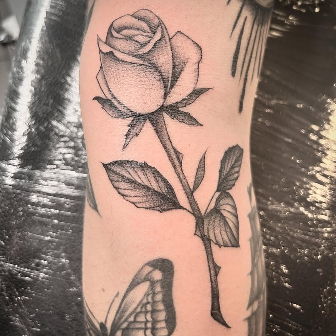 🥀 
#rose #rosetattoo #blackrose #radtattoo #tradtattoo #bergamo #tatuaggibergamo #inkfactorybergamo #fillertattoo #bergamotattooshop #achilledemaria