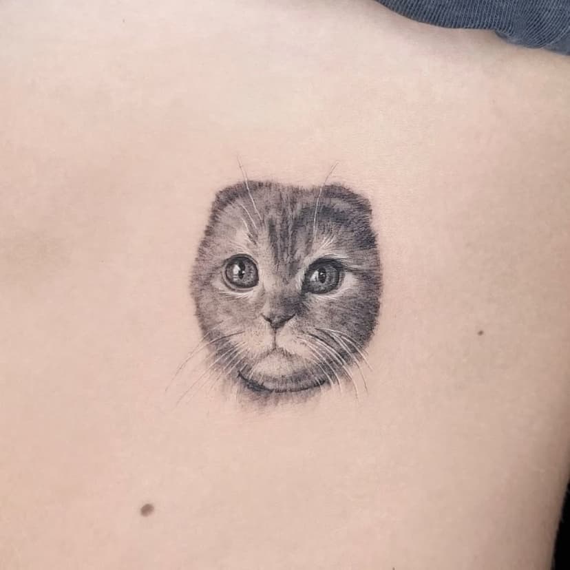 Навсегда рядышком под боком 🖤 

#cattattoo #cattattoos #pettattoo #minitattoo #miniaturetattoo #microtattoo #microrealism #microrealismotattoo