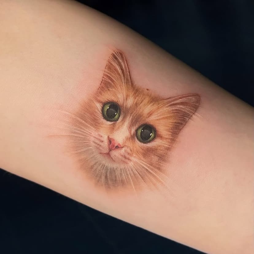 Спасибо, что доверяете мне самое важное 🧡

#cattattoo #cattattoos #pettattoo #minitattoo #miniaturetattoo #microtattoo #microrealism #microrealismotattoo