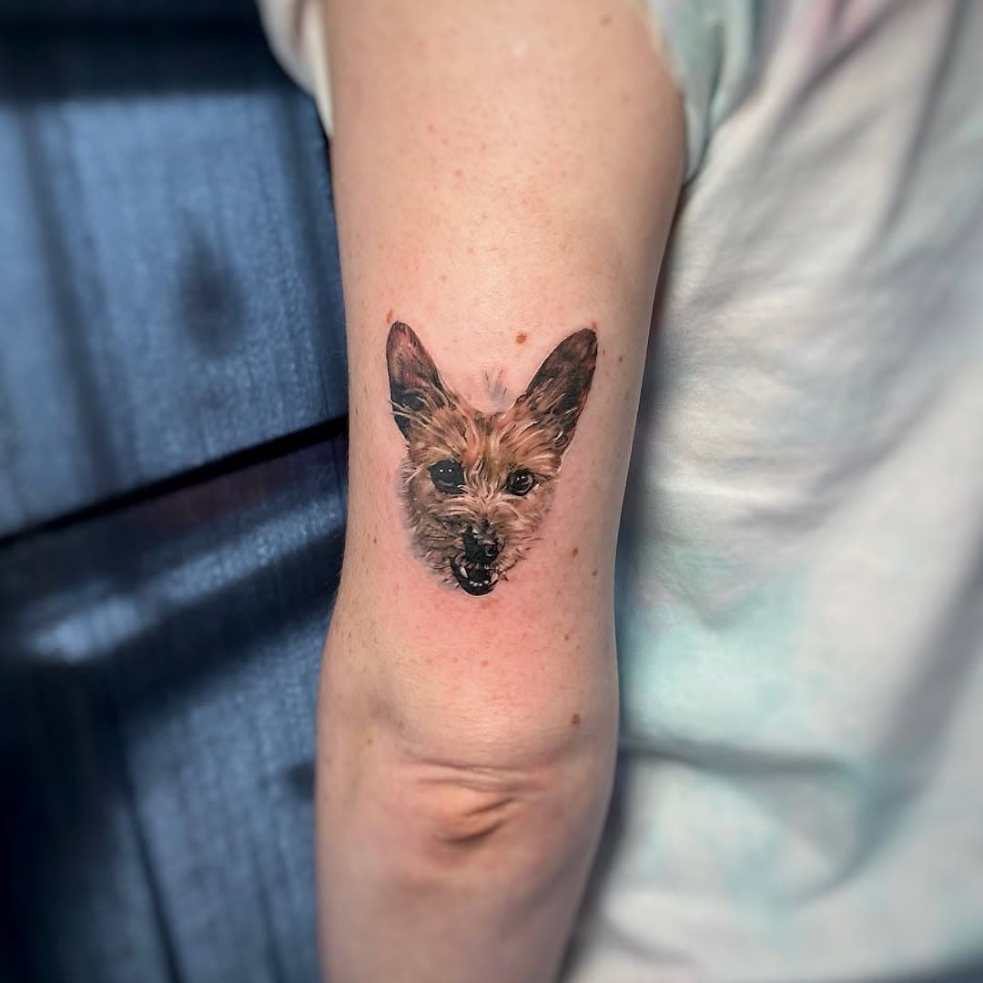 Micro pup for Becky 💕 Really enjoyed this little babe!

Tattooed @levelstattoostudio, Birmingham.
I have 2 appointments left this year - drop me an email or message for enquiries.
——————
#tattoo #tattooartist #dogtattoo #dog #rescuedog #minitattoo #microtattoo #armtattoo #tattooideas #ink #inkstagram #cutetattoo #portraittattoo #dogsofinstagram