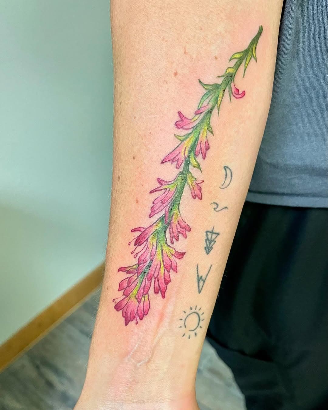 Alpine Paintbrush, or Castilleja rhexifolia, is just one of 200 species found in the Western Americas. Always enjoy tattooing this beautiful flower. 
#paintbrushtattoo#paintbrushflowertattoo#pinkpaintbrushtattoo#coloradotattoo#westernslopetattoo#badgertattoo#tattoogunnison#tattoocrestedbutte