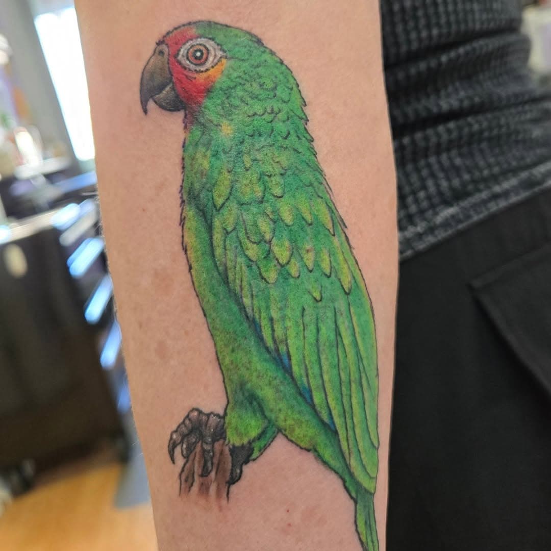 Thanks again, @lisanailz71 it's always a pleasure! #tattoosbyrobyoung #colortattoo #parrotsofinstagram #parrottattoo #teamalteredri #pettattoo #inked #nofilters #lastalifetime