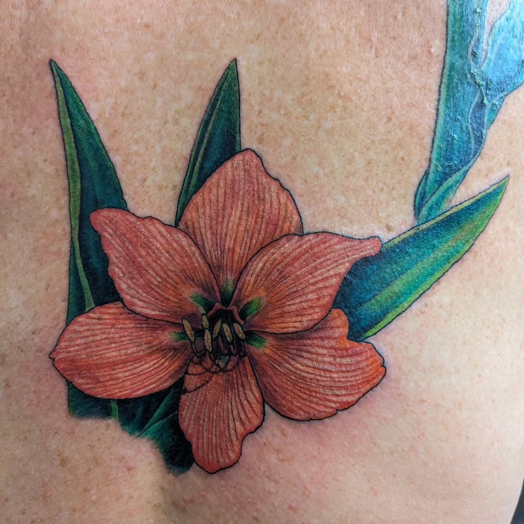 Today I did this amaryllis tattoo. Thank you so much, Catherine! You sat like a rock for me through this.
#tattoo #amaryllis #tattoomadison #wisconsintattooartist #madisonwisconsin #fineline #colortattoo